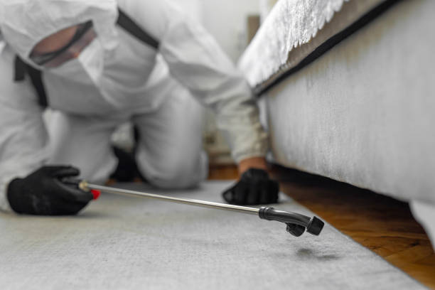 Professional Pest Control technician working in Bonneville County County, ID